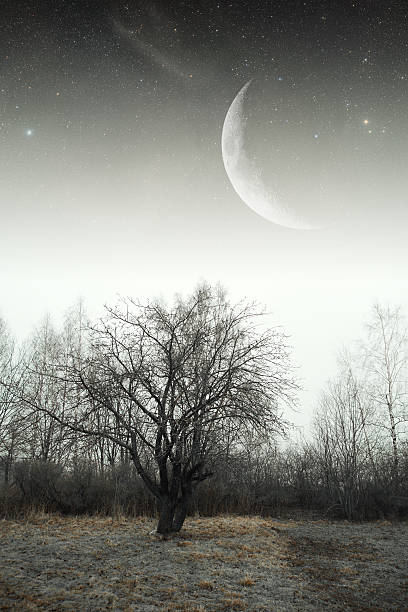 istock country house at night. 507793781