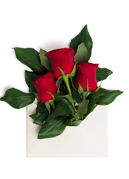 istock Bouquet of red roses in envelope isolated 507794020