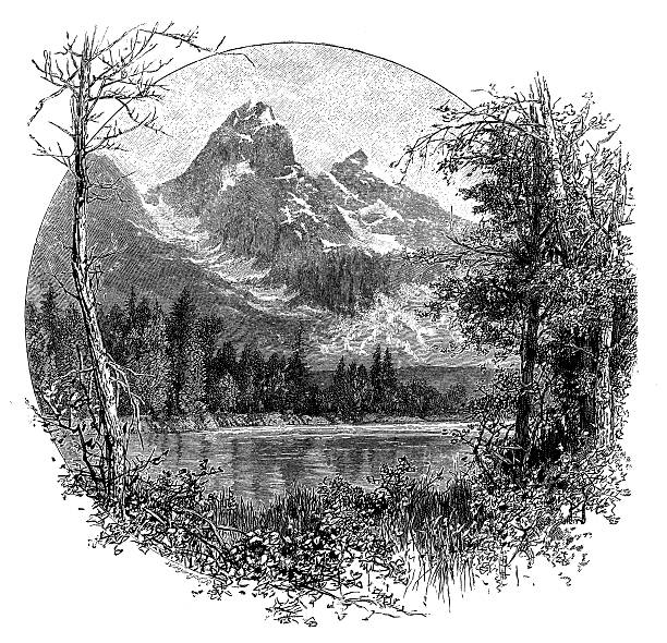 античный иллюстрация на тетон - teton range illustrations stock illustrations