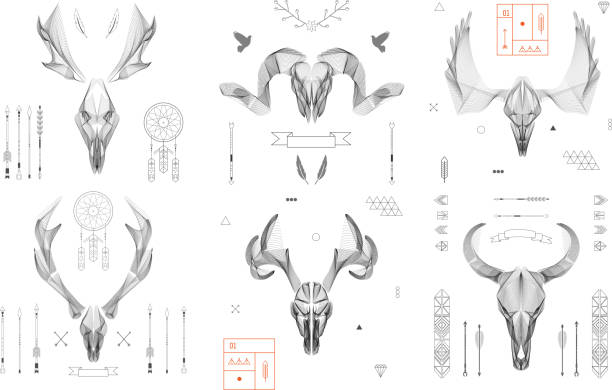 Abstract animal background line art. Skull collection. Antlers. Vector. Isolated. http://s2.ipicture.ru/uploads/20131111/q9J0ra3U.jpg hunting horn stock illustrations