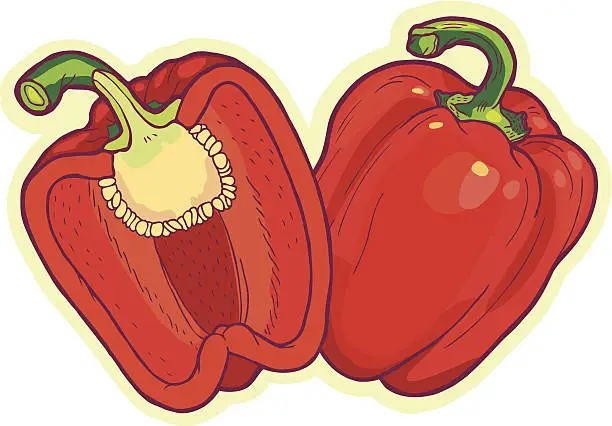 Vector illustration of bell peppers