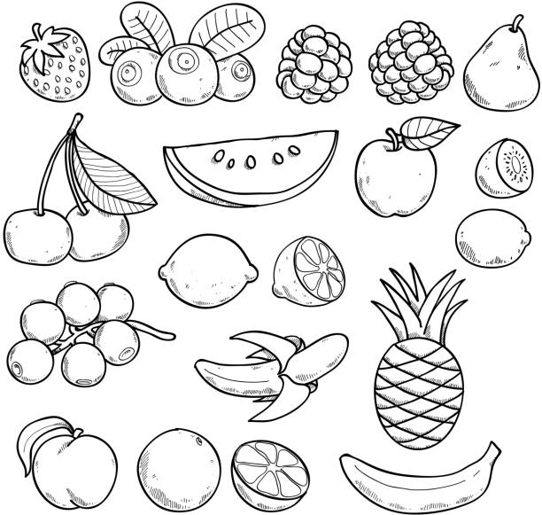illustrations, cliparts, dessins animés et icônes de noir et blanc de fruits et baies d'esquisse de style. - fruit drawing watermelon pencil drawing