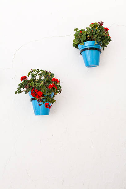 istock Andalusian white villages in Spain 507796135