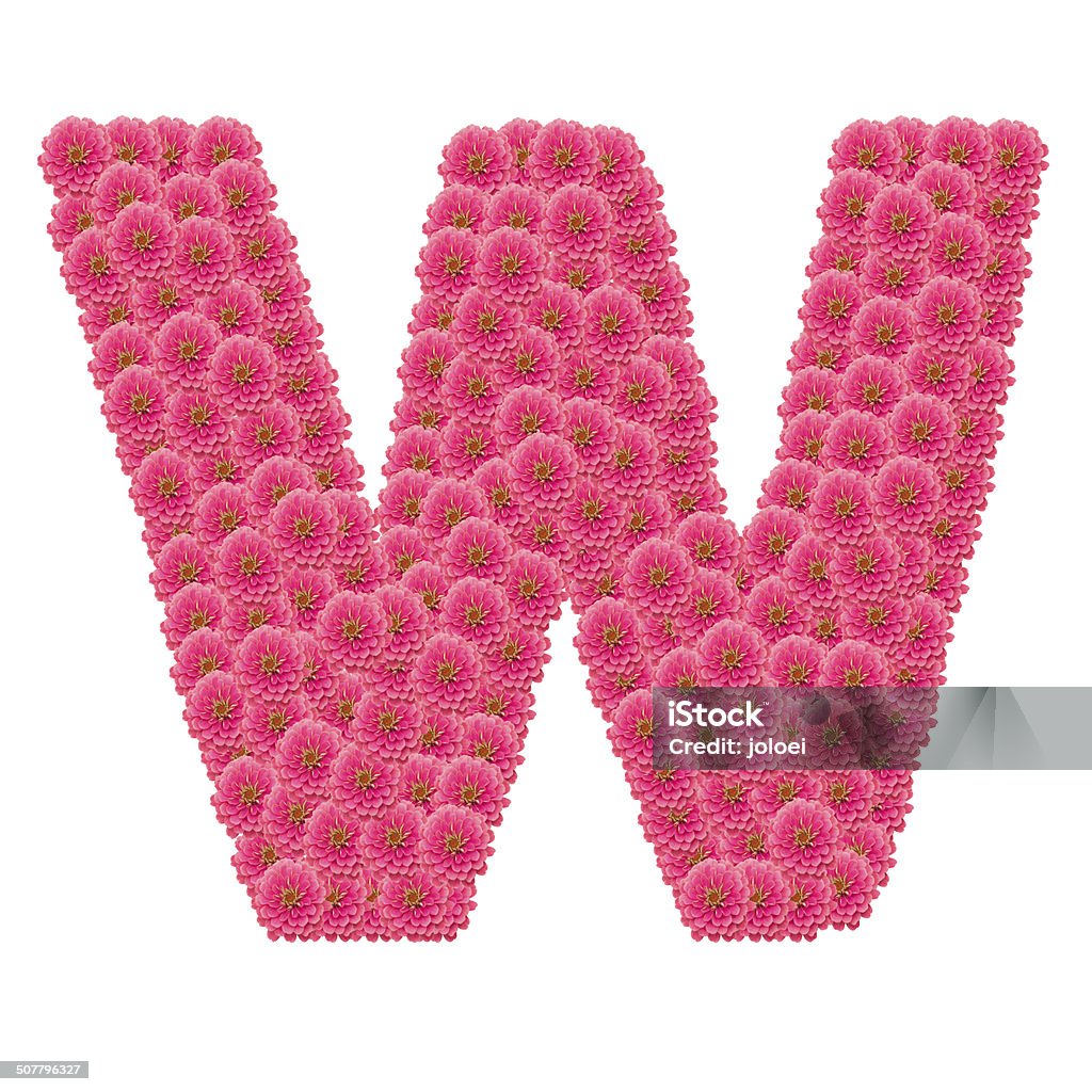 Zinnias flower letter Alphabet Stock Photo