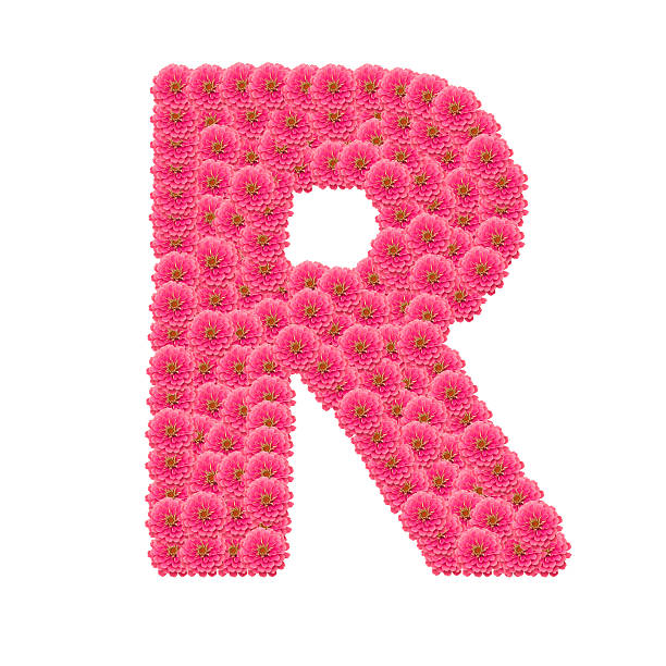 istock Zinnias flower letter 507796329