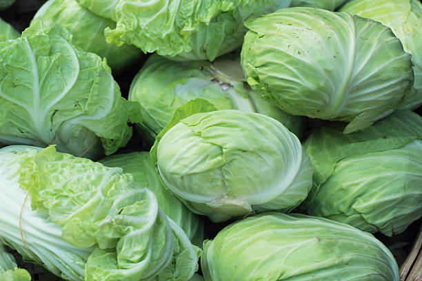 istock Fresh cabbage in the market. 507796401