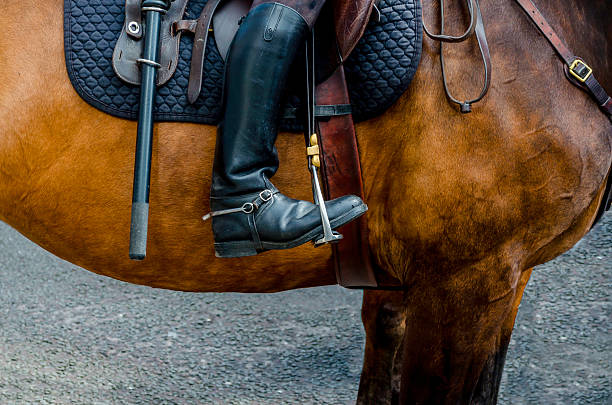 istock police horse with boot in stirrups, saddle and truncheon 507796785