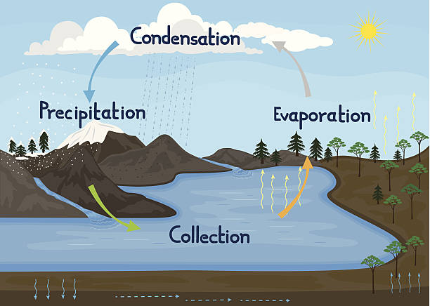 illustrations, cliparts, dessins animés et icônes de eau/hydrologic à vélo dans la nature - cycle de leau