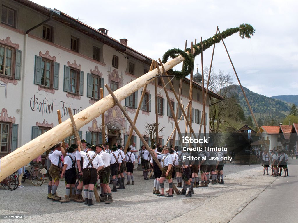 Maibaum - maypole Jachenau, Germany - May 01, 2012: In many villages of Bavaria it is an historical customs to erect a high and decorated tree at 1. May by local men and with muscle power, clothed in traditional bavarian dress with short leather trousers and white shirts. After erecting the tree, men and women will dance around this maypole, because the tree is an symbol for fertility at spring. Adult Stock Photo