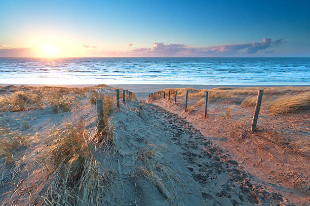 istock sunshine over the sand path to North sea coast 507800198