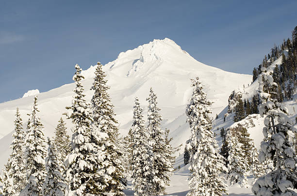 istock Mount Hood with Snow Covered Trees 507800624