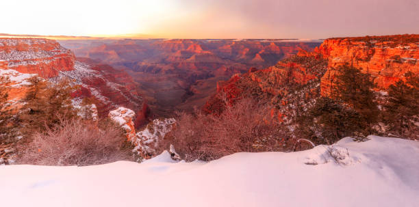 istock Grand canyon in the winter 507803140