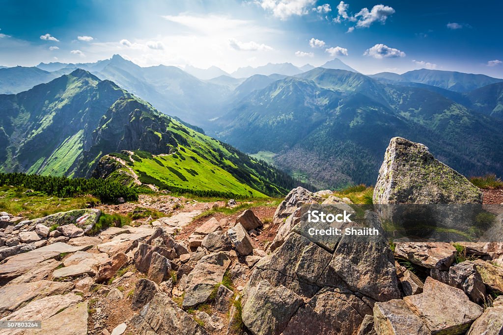 Trail im Tatras Bergen an einem sonnigen Tag - Lizenzfrei Tatra-Gebirge Stock-Foto