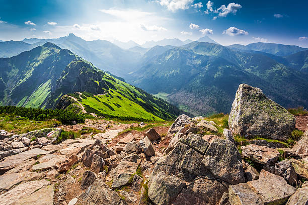 szlak w tatras góry w słoneczny dzień - tatry zdjęcia i obrazy z banku zdjęć