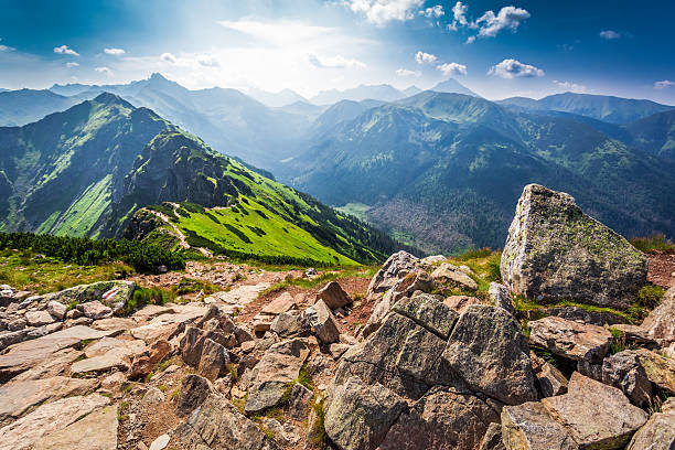 trail в татрах горы в солнечный день - tatry стоковые фото и изображения