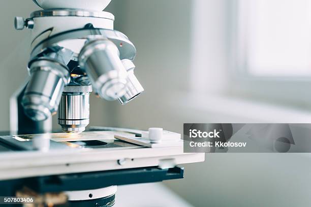 현미경 실험실 현미경에 대한 스톡 사진 및 기타 이미지 - 현미경, 실험실, 의료 연구