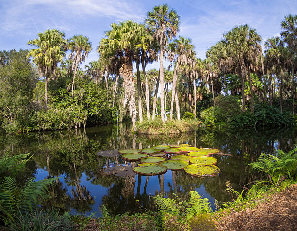 istock Landscape with trees and lake 507803872