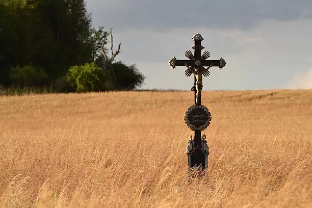 Cross, standing in the barley field next to the forest, nature and religion image, meditation