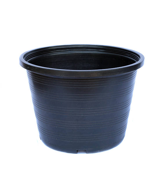 istock Image of plant pots black 507817243
