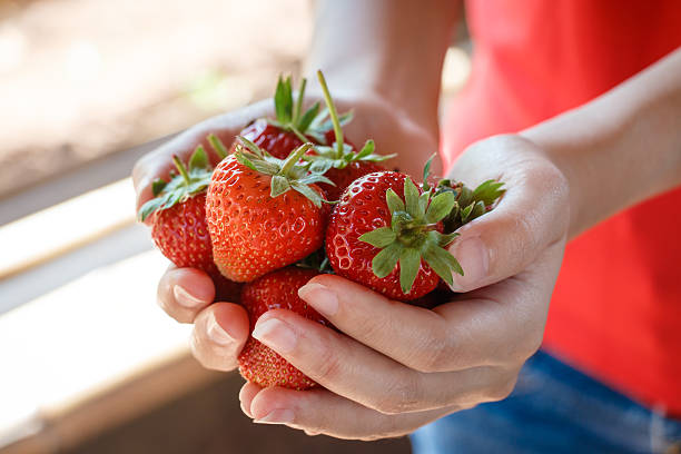 istock Fresh strawberries picked from a strawberry farm 507818515