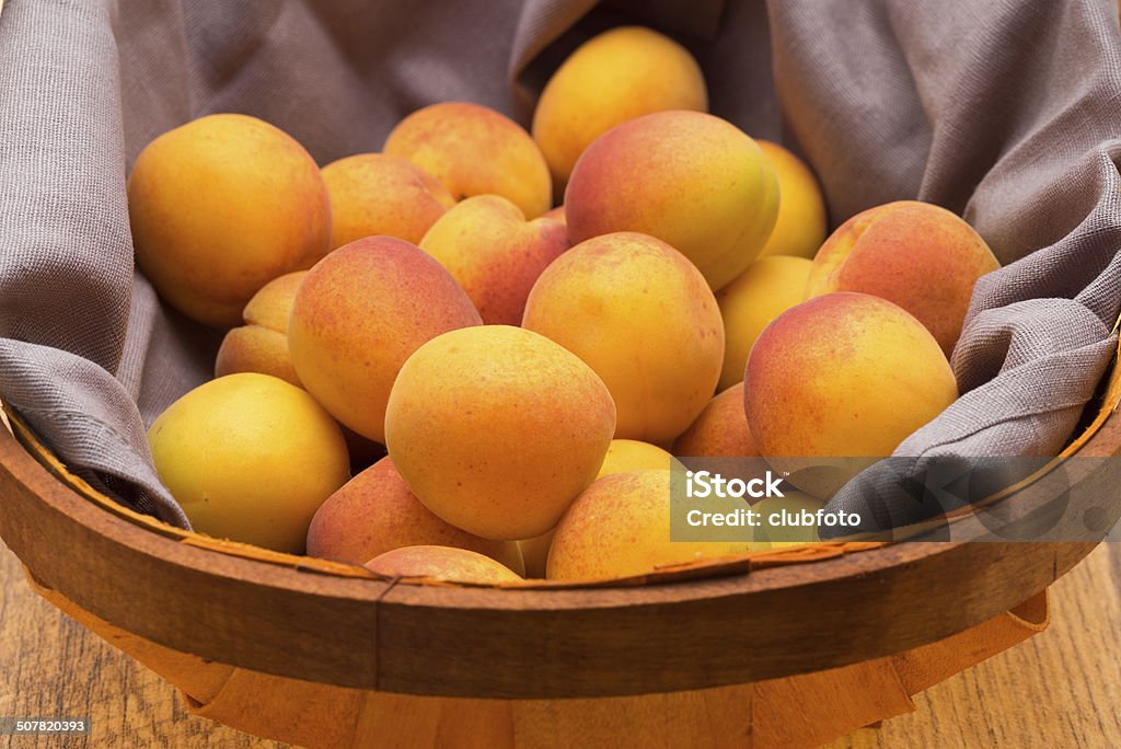 Apricots Apricots in a gardeners basket Apricot Stock Photo