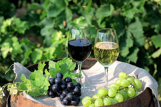 istock Red and white wine with grapes in nature 507821681