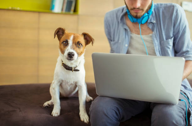 istock Dog sitting by man in office 507831527