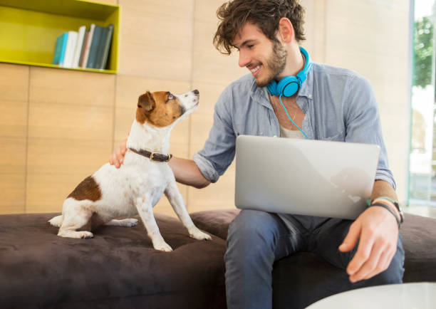 istock Man petting dog in office 507833355
