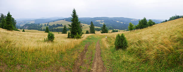 istock Countryside in Pieniny hills 507836096