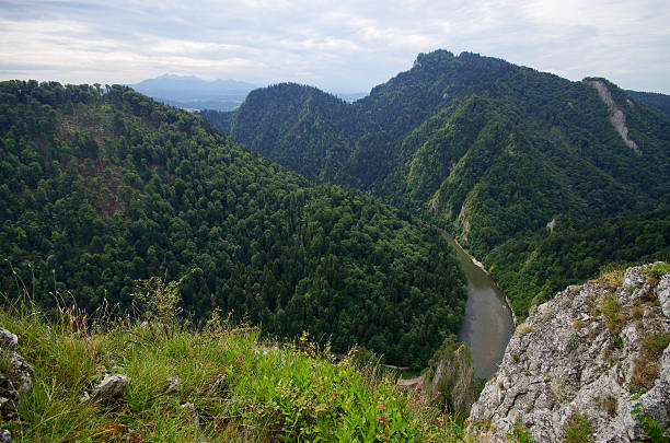 dunajec rio nas montanhas pieniny, polónia - malopolskie province imagens e fotografias de stock