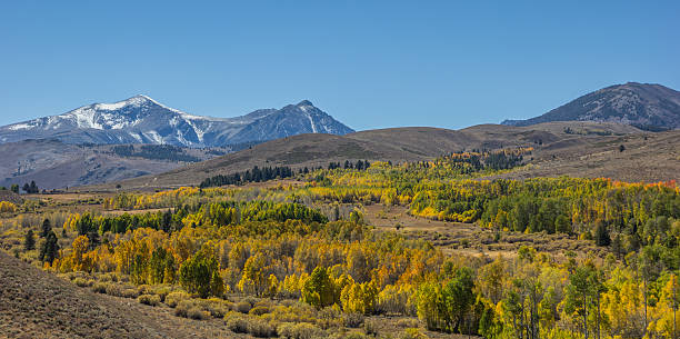 istock Vista along highway 395 in California 507840430