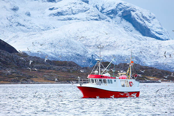 bateau de pêche en mer dans un environnement de l'arctique - uncultivated snow ice antarctica photos et images de collection
