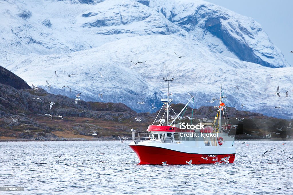 Fishing boat at sea in arctic environment Red fishing boat with a many birds flying around.  Cold arctic environment. Fishing Stock Photo