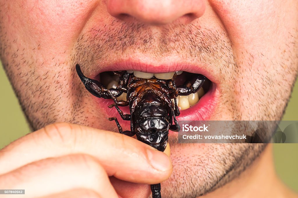 man eats a scorpion man (gourmet) eats a roasted black scorpion Eating Stock Photo