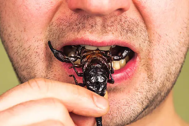 Photo of man eats a scorpion