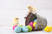 Easter chicken, eggs and decoration on white background