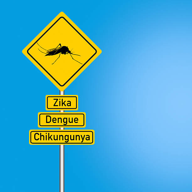 alerta da dengue, zika, chicungunha - thumps up imagens e fotografias de stock