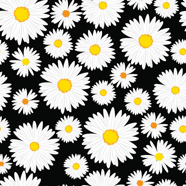 ilustraciones, imágenes clip art, dibujos animados e iconos de stock de margaritas patrón sin costuras vector de sobre fondo naranja - single flower flower daisy chamomile