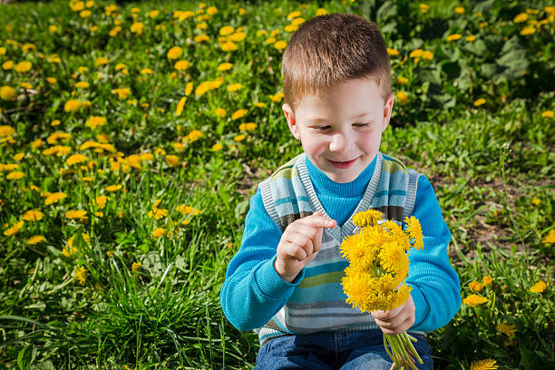 Happy little boy on the field with dandelions, space for text