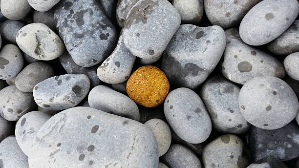 istock Little piece of Gold 507844158
