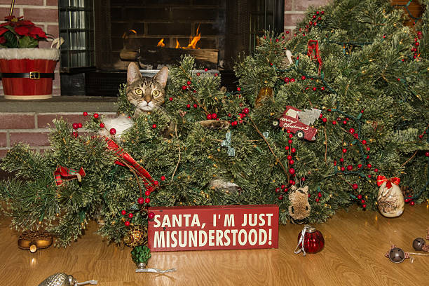 Cat Destroys Christmas stock photo
