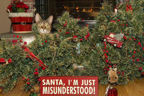 istock Cat Destroys Christmas 507844510