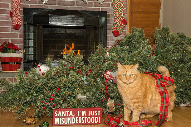 istock Cat Destroys Christmas 507844656