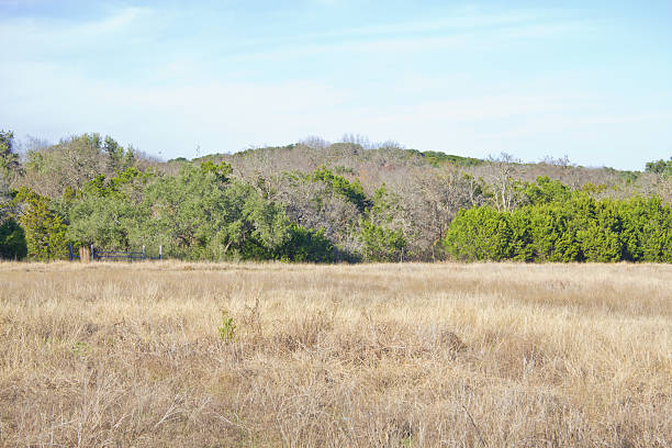 istock Brushy Creek Regional Trail 507844910