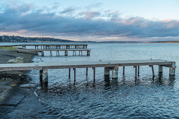 istock Lake Washington Piers 2 507846168