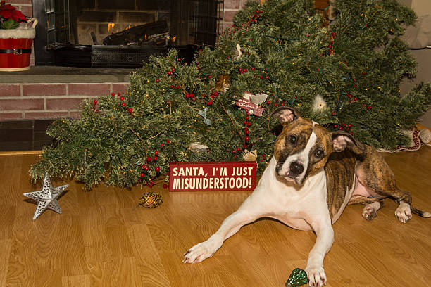 istock Dog Destroys Christmas 507847748