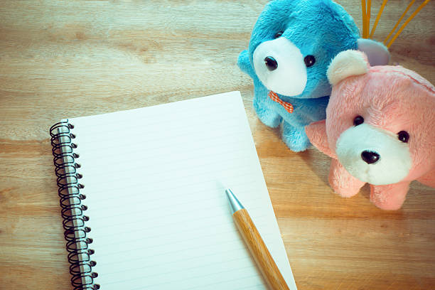 istock Blank notebook with copy space and pencil,couple teddy 507848134