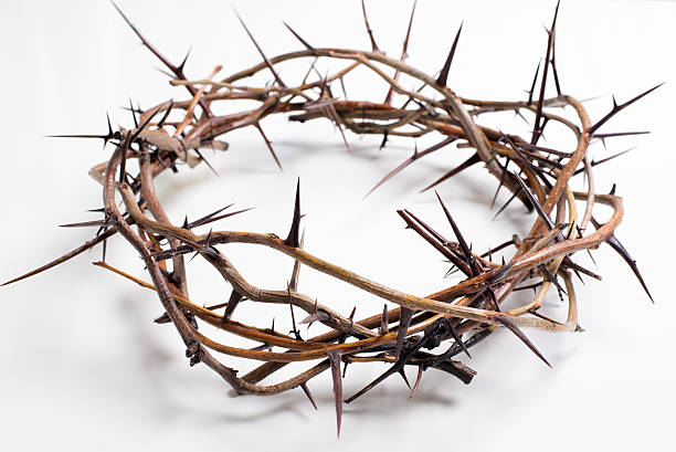 istock Crown of thorns on a white background - Easter. religion. 507850228