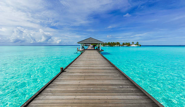 Boardwalk to paradise stock photo