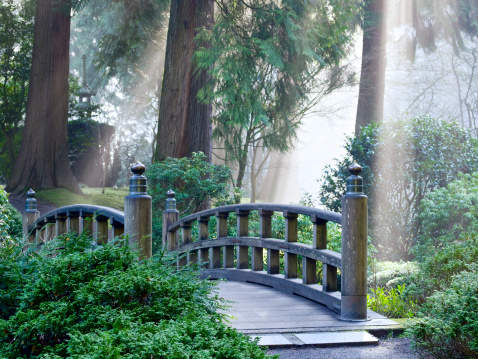 Looking across a wooden footbridge at the Portland Japanese Garden. Large trees are in the background with fog and streaks of bright sunlight. This is located in the Pacific Northwest in in Portland, Oregon. I am a Photographer level member of the Portland Japanese Garden as required for commercial use.